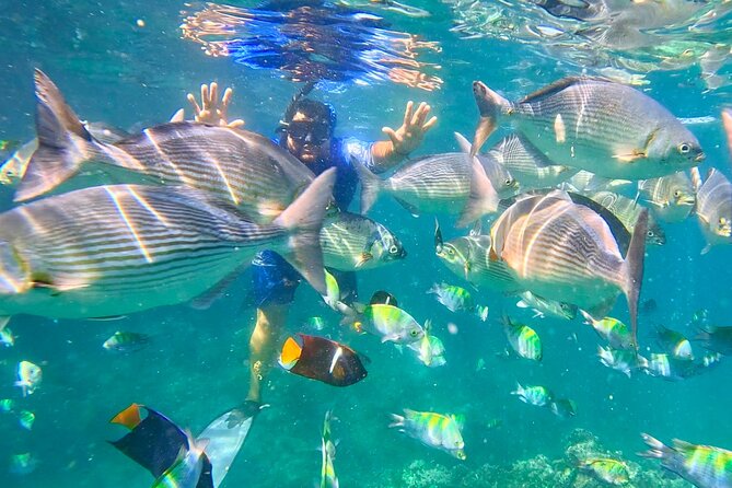 Los Arcos 5 islands Snorkeling Cliff Jumping and Hidden Beach - Snorkeling around Los Arcos