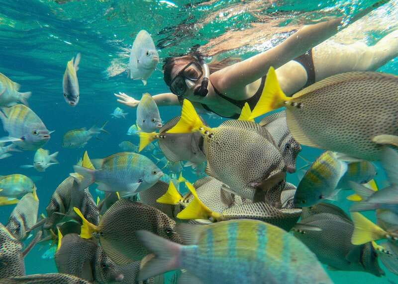 Los Cabos Arch & Lover’s Beach Tour + Snorkeling Tour - Why the guides make such a difference