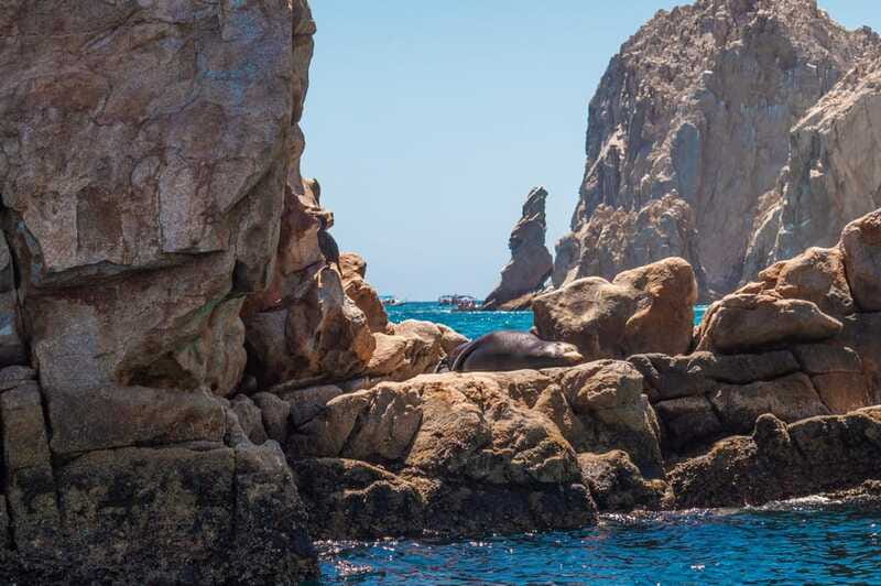 los cabos arch tour & drinks +snorkel tour - Snorkeling for 45 minutes to one hour
