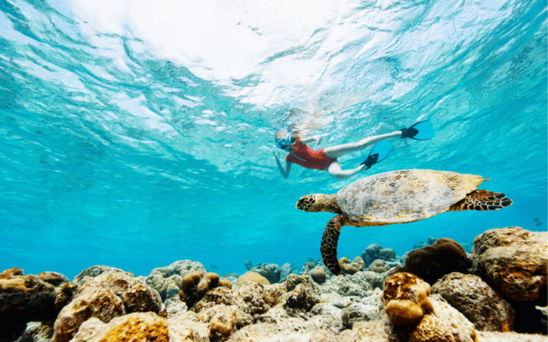 los cabos arch tour & drinks +snorkel tour - Beach time at the end
