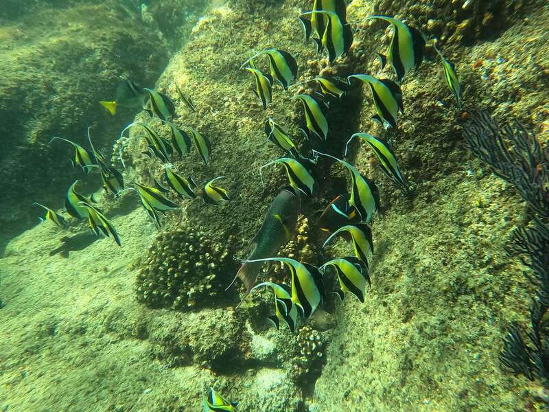 Los Cabos: Kayak to The Arch & Snorkel + Transport & Photos - The guides make the difference