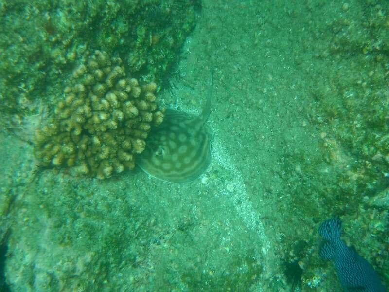 Los Cabos: Kayaking and Snorkeling in Two Pristine Bays - Is $102 a fair price?