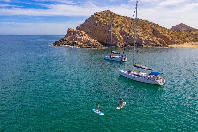 Los Cabos Luxury Sailing, Snorkel and Lunch Cruise - Whale watching and wildlife etiquette