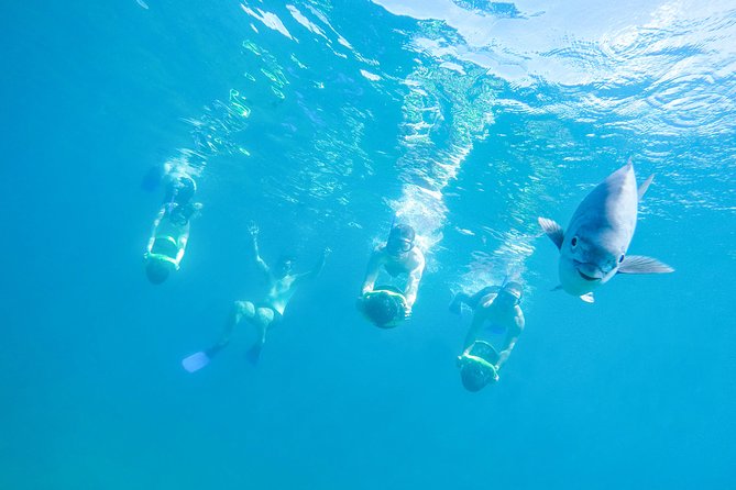 Los Cabos Power snorkel Adventure, Kayaking and Stand-Up Paddle - Quick facts before you book