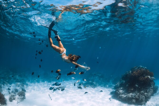 Los Cabos Power snorkel Adventure, Kayaking and Stand-Up Paddle - What the Los Cabos Power Snorkel Adventure really offers