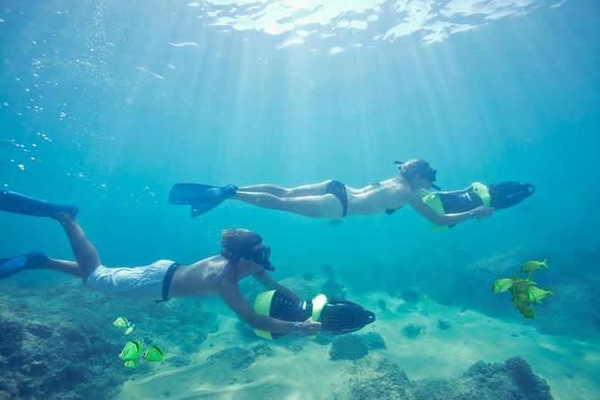 Los Cabos Power snorkel Adventure, Kayaking and Stand-Up Paddle - Snorkeling conditions can make or break the day