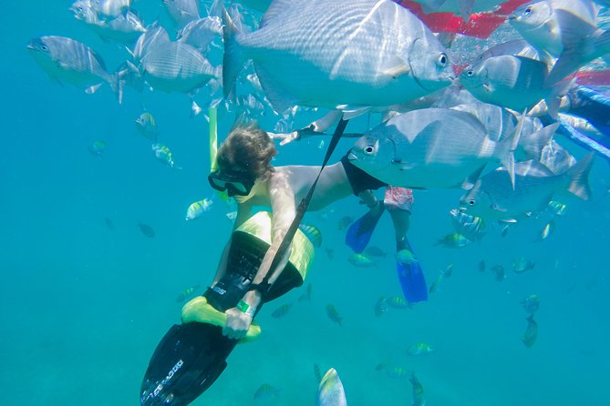 Los Cabos Power snorkel Adventure, Kayaking and Stand-Up Paddle - Guides make a major difference
