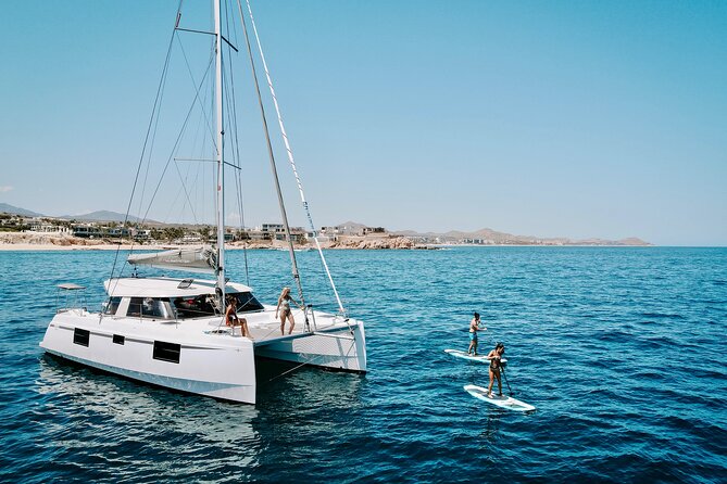 Los Cabos Seasonal Whale Watch and Snorkel Tour - Five things to know before booking