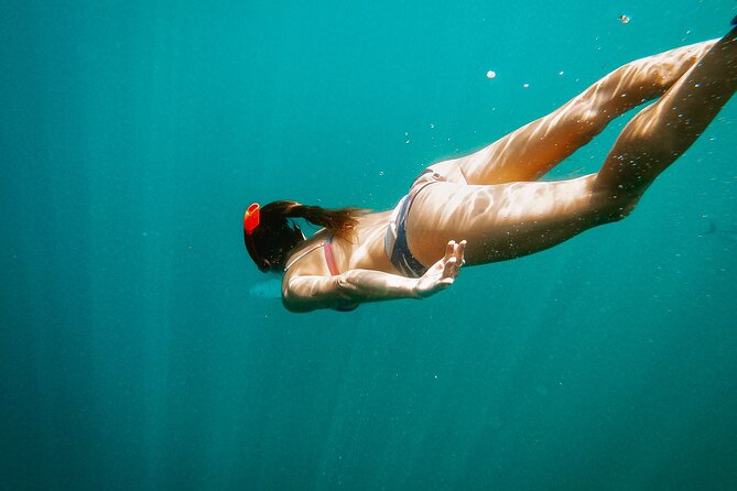 Los Cabos Seasonal Whale Watch and Snorkel Tour - Santa Maria or Chileno Beach for snorkeling