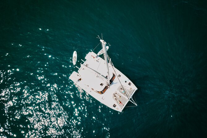 Los Cabos Seasonal Whale Watch and Snorkel Tour - Who will enjoy this most?