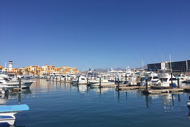 Los Cabos Snorkel & Pirate Ship Fun Adventure with Lunch - Lunch, drinks, and the pirate-ship atmosphere