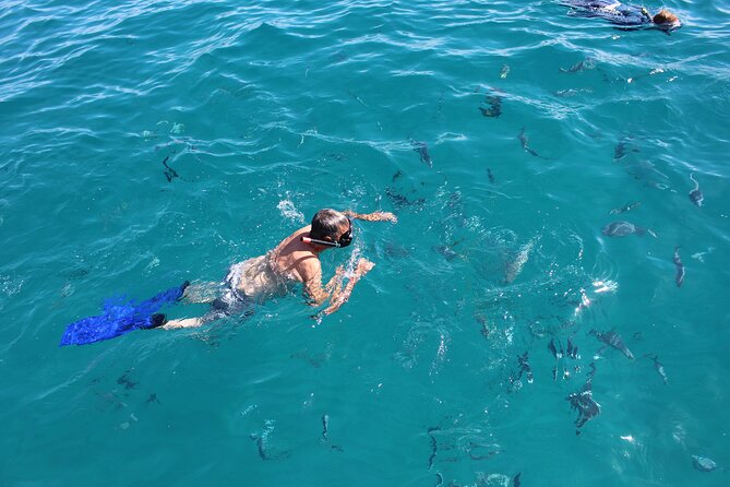 Los Cabos Snorkel & Pirate Ship Fun Adventure with Lunch - What $99 buys you in Cabo
