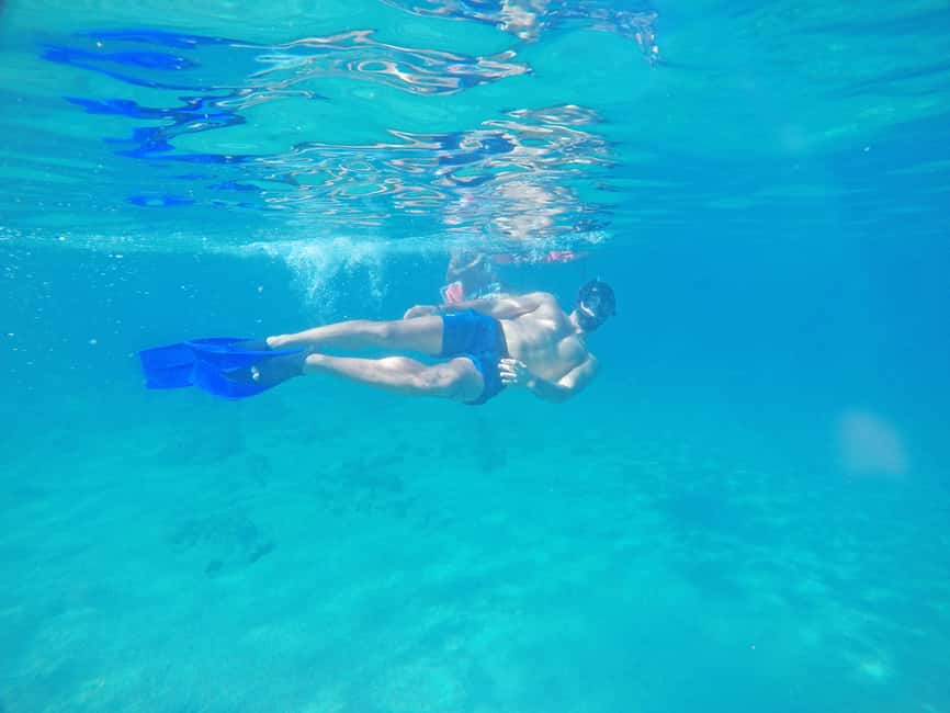 Los Cabos: Snorkeling Cruise with Lunch - From Dock 0 to Land’s End
