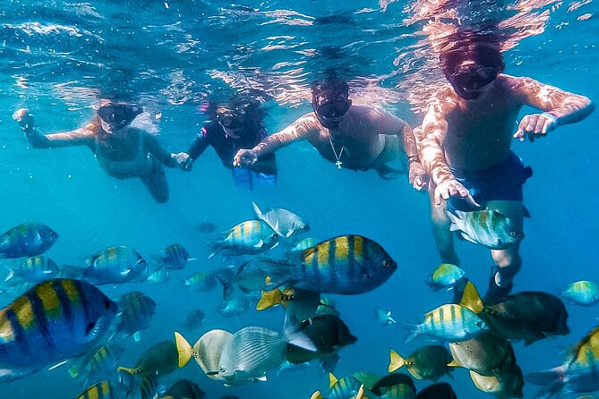 Los Cabos Snorkeling Tour by Speed Boat with Photos Included - Key Points Before You Book