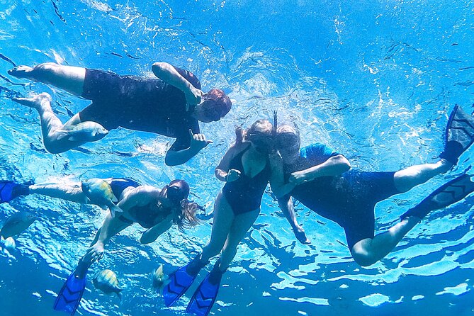 Los Cabos Snorkeling Tour by Speed Boat with Photos Included - How the Small Group Changes the Day