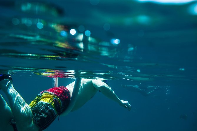 Los Cabos Snorkeling Tour to Chileno Bay and Santa Maria Cove - Chileno Bay: easy entry and plenty of fish