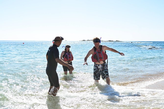 Los Cabos Snorkeling Tour to Chileno Bay and Santa Maria Cove - Timing, water temperature, and changing conditions