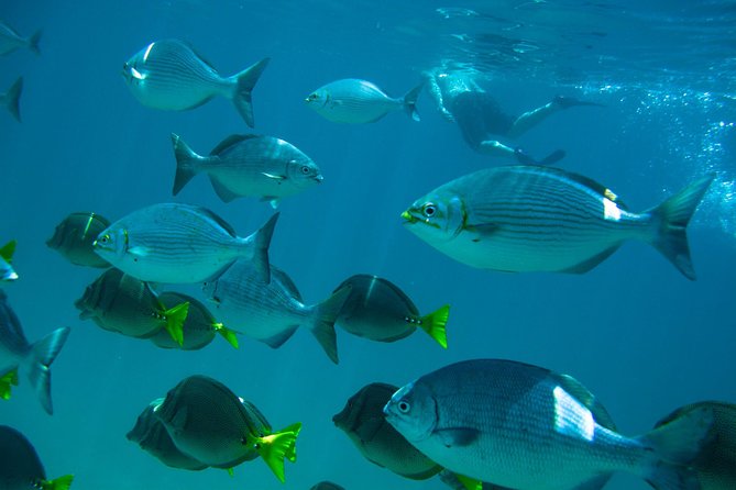 Los Cabos Snorkeling Tour to Chileno Bay and Santa Maria Cove - Santa Maria Beach: the best place to settle in
