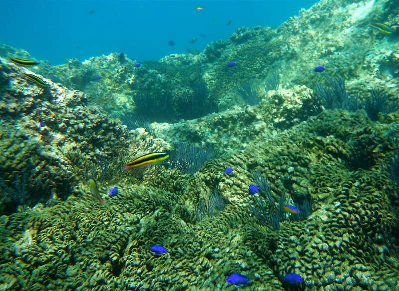 Los Cabos: The Arch and Lover's Beach Kayaking + Snorkeling - Pickup from San José del Cabo or Cabo San Lucas