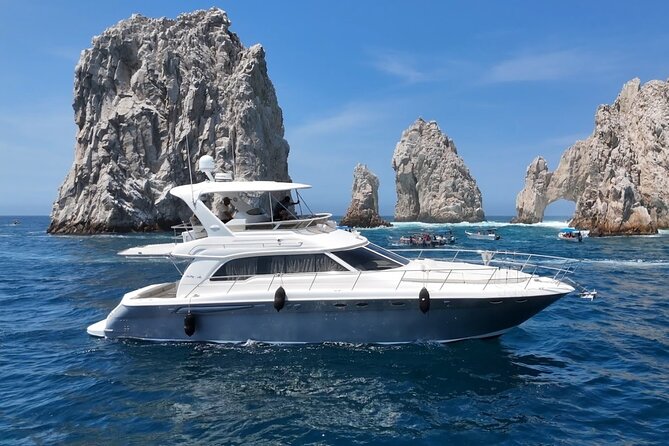 Los Cabos Whale Watching & Snorkel Adventure with Food & Drinks - Private service can be the real value