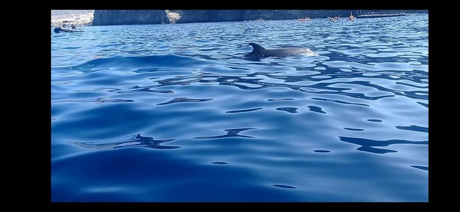 Los Cristianos: Kayak & Snorkel Tour with turtles and photos included - Meeting at El Carmen 4 and getting ready