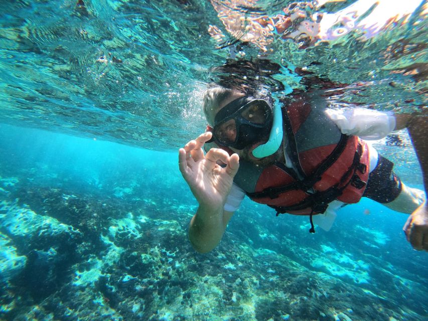 Los Cristianos: Kayaking and Snorkeling with Marine Wildlife - Who will enjoy this outing most?