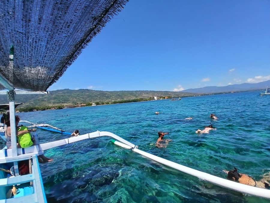 Lovina : SPECIAL FULL TRIP dolphin watch, swim, and snorkel - Coffee, cake, and a young coconut