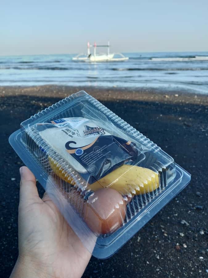 Lovina : SPECIAL FULL TRIP dolphin watch, swim, and snorkel - Handling poor weather and changed plans