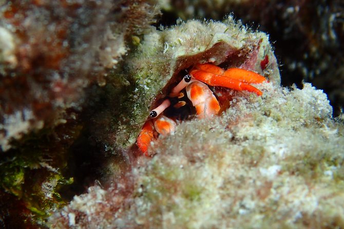 Luxury Full Day Snorkeling - What to Pack Despite the Included Gear