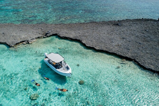 Luxury Full Day Snorkeling - Who Will Get the Most From This Tour