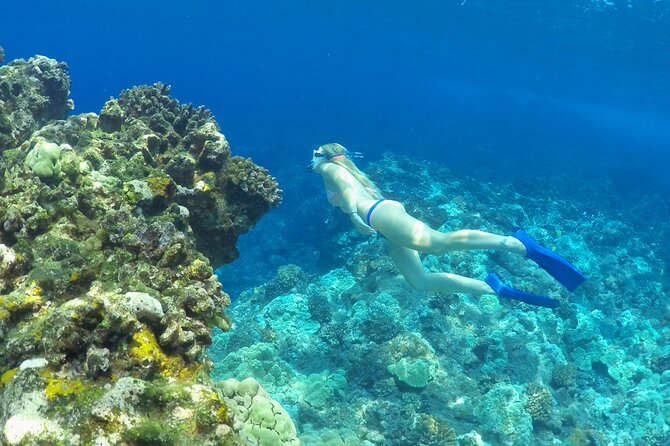 Luxury Kona Coast Snorkel Tour Including Lunch - Food, drinks, and time between swims