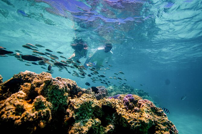 LUXURY PRIVATE Catamaran Bora Bora : Half-Day Trip - The Paradise Bay floating bar stop