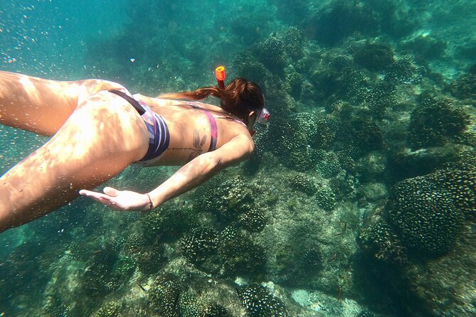 Luxury Snorkel Adventure in Cabo - A polished start from Cabo Marina