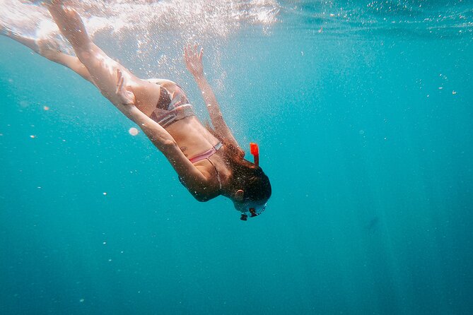 Luxury Snorkel Adventure in Cabo - What $149 buys you in practical terms
