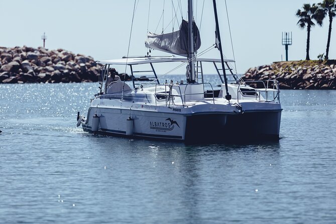 Luxury Snorkel Adventure in Cabo - Service that makes the small boat work