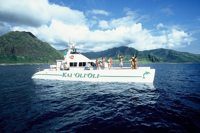 Luxury Snorkel Cruise, Local Buffet with Whale & Dolphin Watch - Snorkeling with instruction and close crew supervision