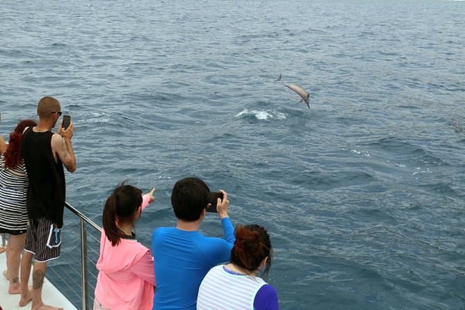 Luxury Snorkel Cruise, Local Buffet with Whale & Dolphin Watch - A Hawaiian buffet with a late meal possibility