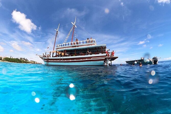 Luxury snorkel trip on a spacious wooden schooner and local lunch - What you may see below the surface