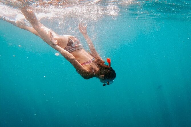 Luxury Snorkeling Tour in Cabo San Lucas - Who should book this outing?