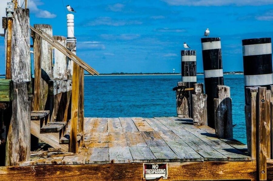 Madeira Beach: Egmont Key Snorkeling and Dolphin Cruise - Is $91 a fair price?