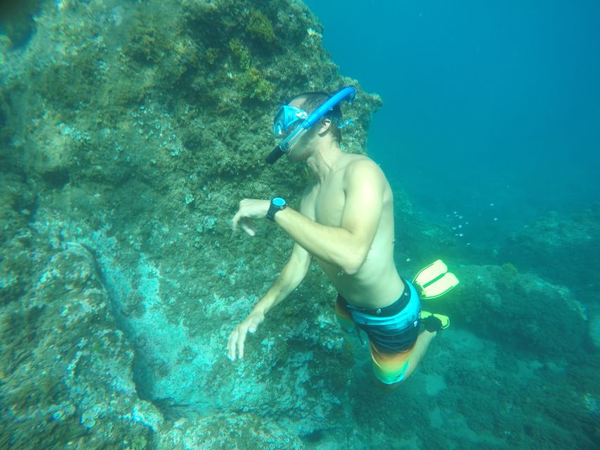 Madeira: Garajau Nature Reserve Kayak and Snorkel Tour - Key points to know before booking