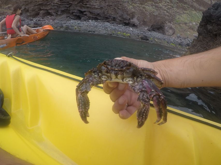 Madeira: Garajau Nature Reserve Kayak and Snorkel Tour - How the guides shape the experience