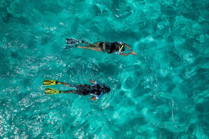 Madeira: Ponta de São Lourenço Snorkeling Boat Trip - Key points to know before you book