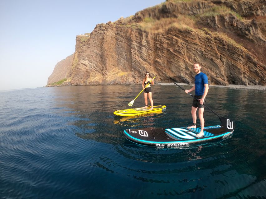 Madeira: Private Paddleboard & Snorkel - Snorkeling and sea life along the coast