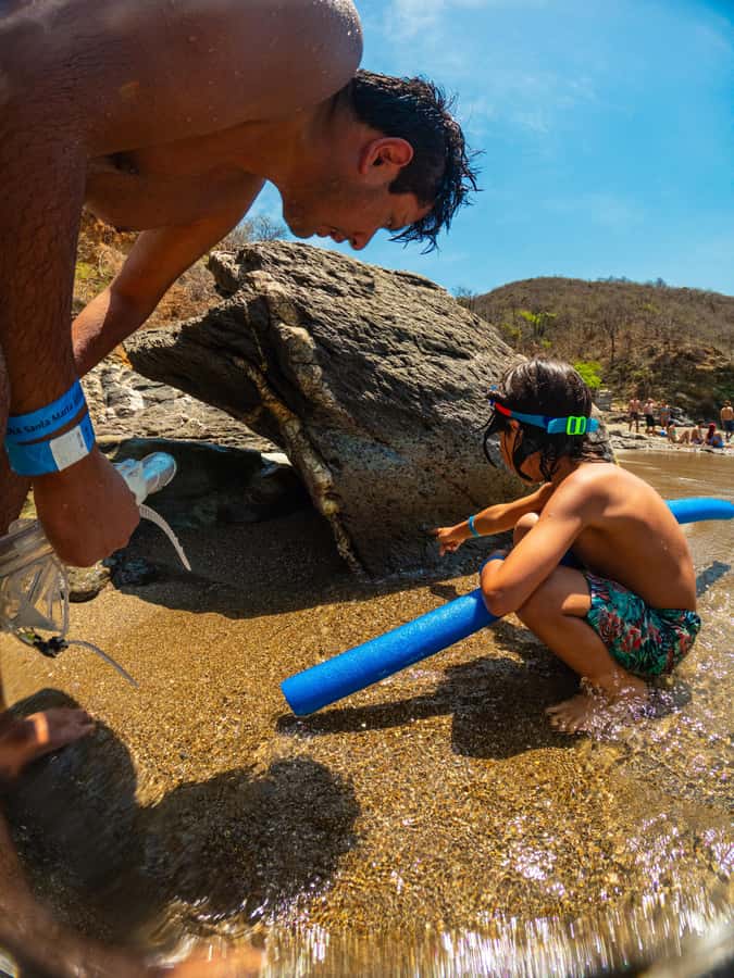 Magdalena: Tayrona Park Cruise with Snorkeling & Beaches - Remanso gives you a short first look underwater