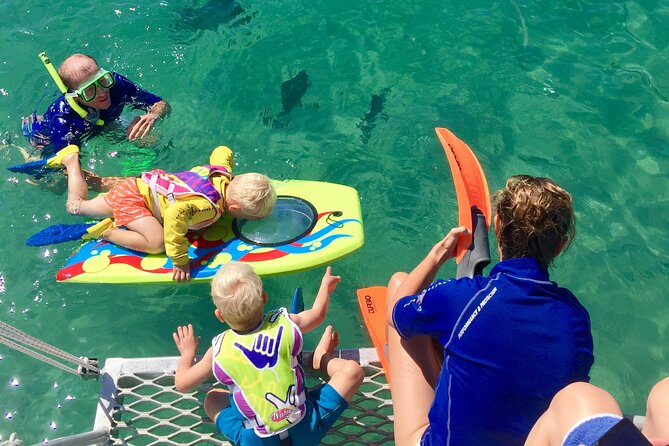 Magnetic Island Discovery Tour with Snorkeling & Paddle Boarding - Wildlife, birdlife, and seasonal whale sightings