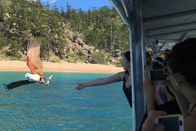 Magnetic Island Discovery Tour with Snorkeling & Paddle Boarding - What the reef education adds