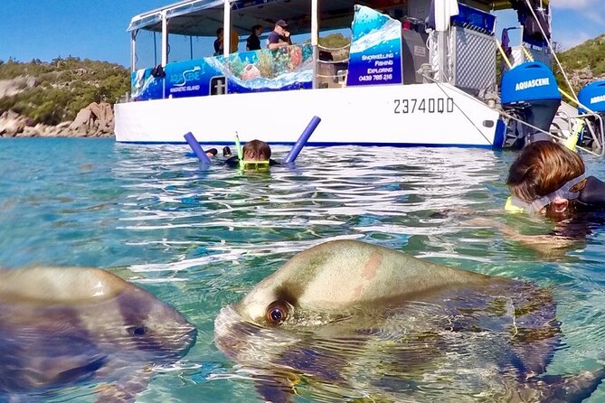 Magnetic Island Discovery Tour with Snorkeling & Paddle Boarding - Weather, visibility, and the tour’s main weakness