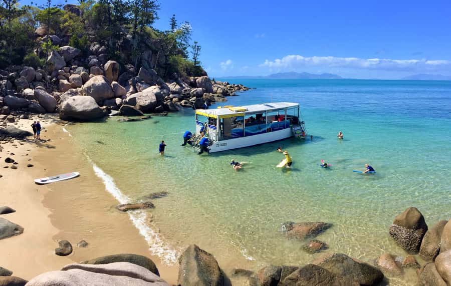Magnetic Island: Snorkel Discovery Tour - A five-hour tour built around conditions