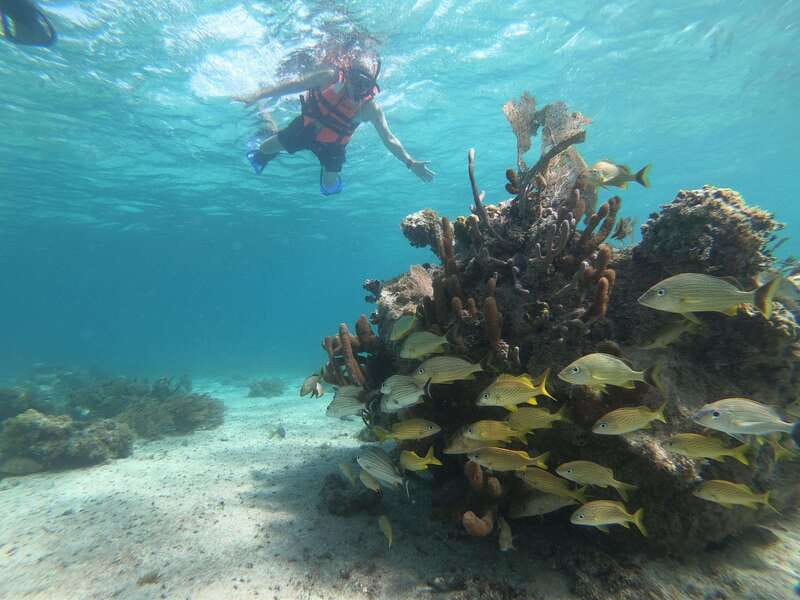 Mahahual: Snorkel Tour in Reef Lagoon - Weather, cancellation, and planning details